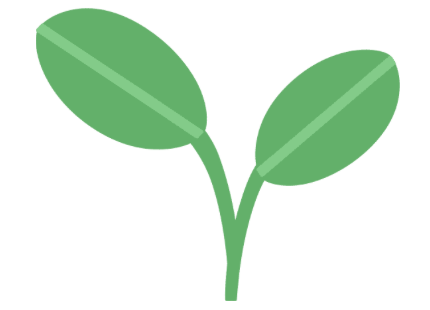 Plant Power Protein